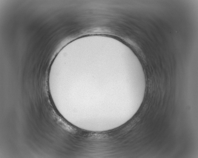 X0000078841374200612111544