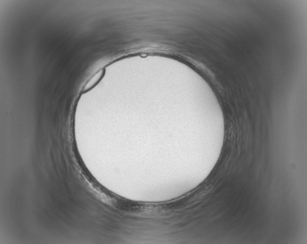 X0000078841375200612111544