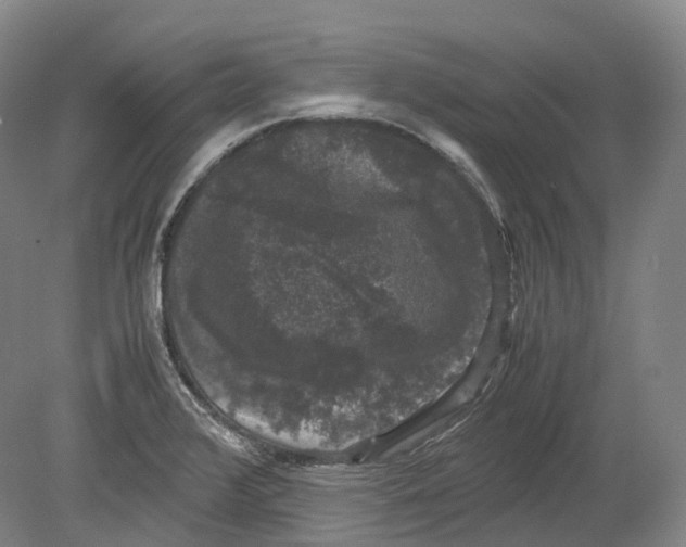 X0000078841376200612111544