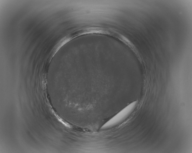 X0000078841377200612111544