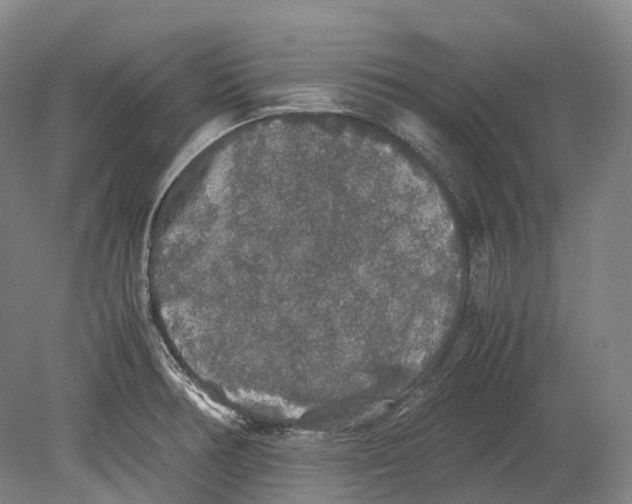 X0000078841378200612111544