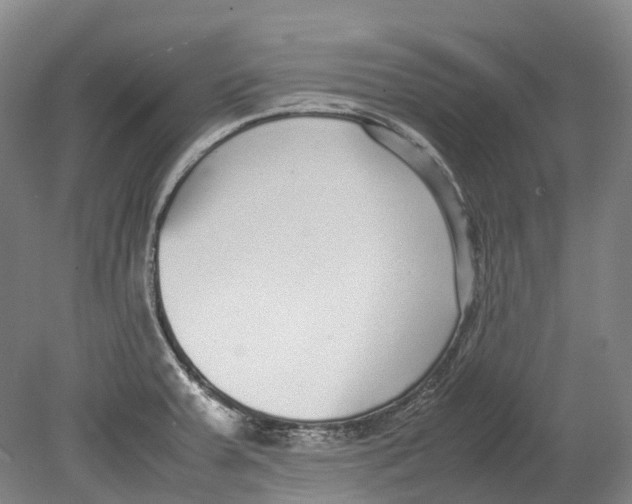 X0000078841379200612111544