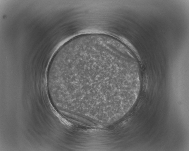 X0000078841380200612111544