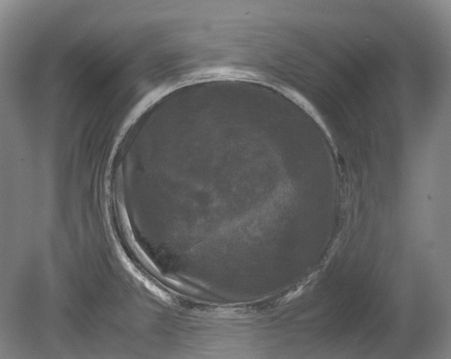 X0000078841381200612111544