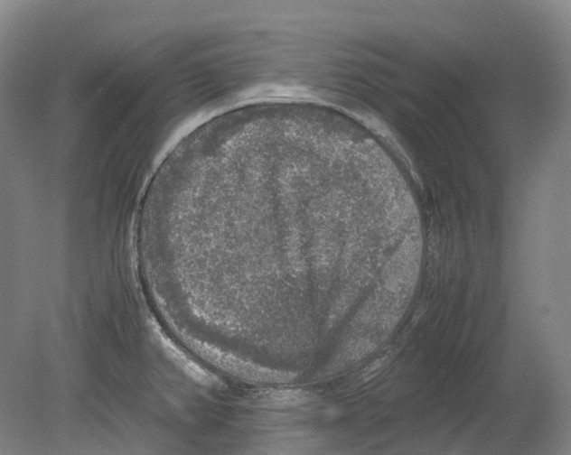 X0000078841382200612111544