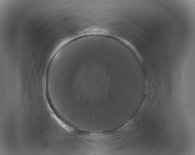 X0000078841383200612111544