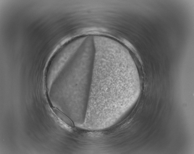 X0000078841384200612111544