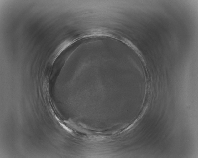 X0000078841385200612111544