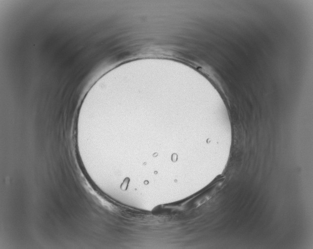 X0000078841387200612111544