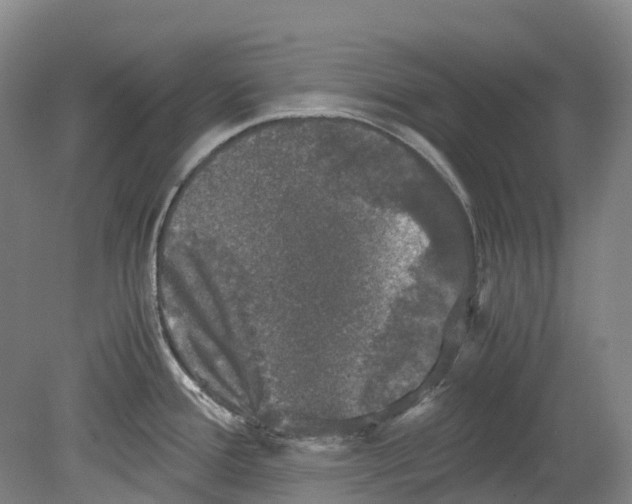 X0000078841388200612111544