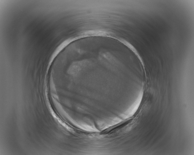 X0000078841389200612111544