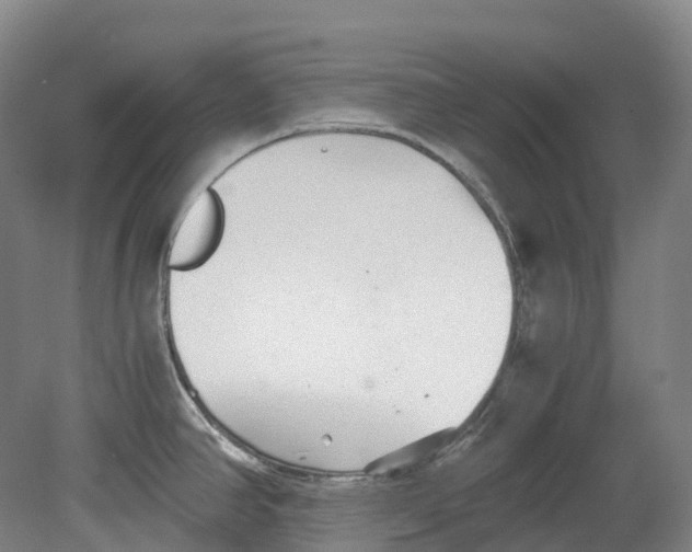 X0000078841390200612111544