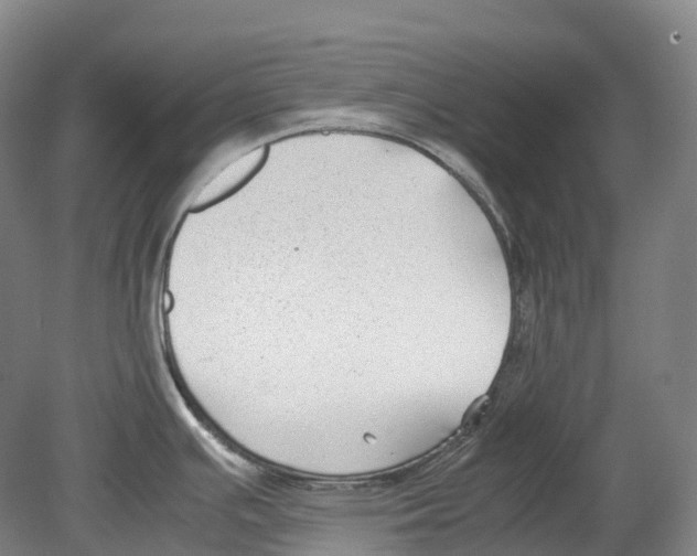 X0000078841391200612111544