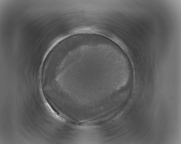 X0000078841392200612111544