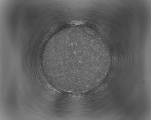 X0000078841393200612111543