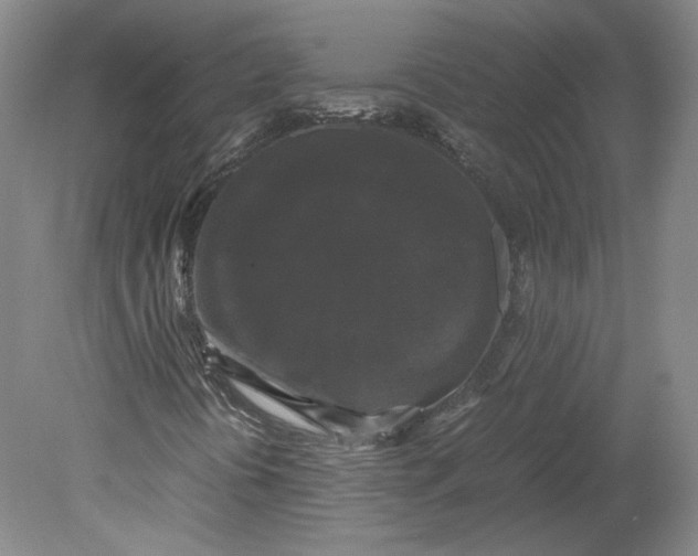 X0000078841394200612111543