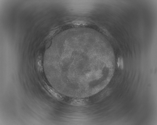 X0000078841396200612111543