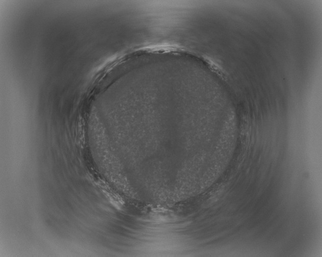 X0000078841398200612111543