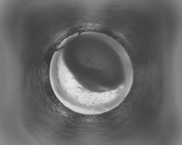 X0000078841399200612111543