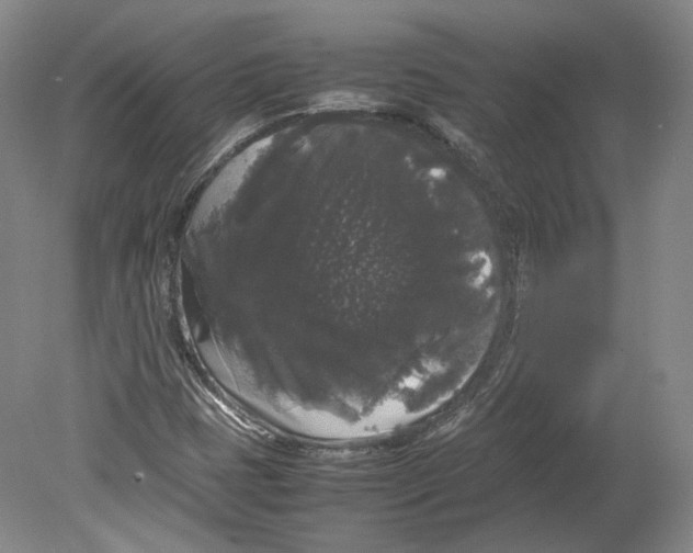 X0000078841401200612111543