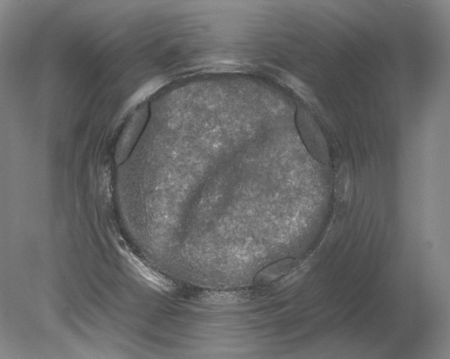 X0000078841402200612111543