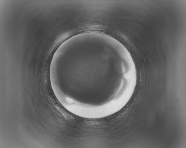 X0000078841405200612111543