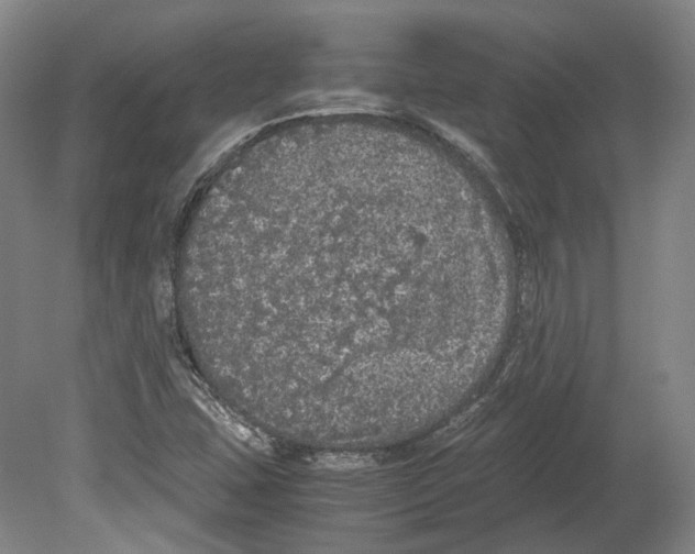 X0000078841407200612111543