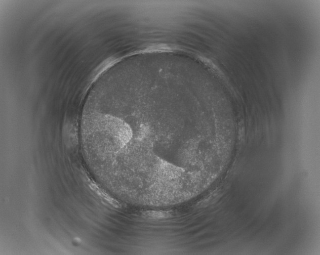 X0000078841409200612111543