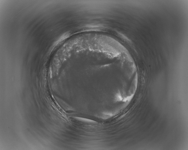 X0000078841411200612111543