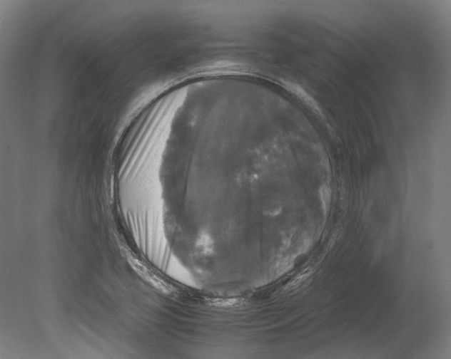 X0000078841413200612111543