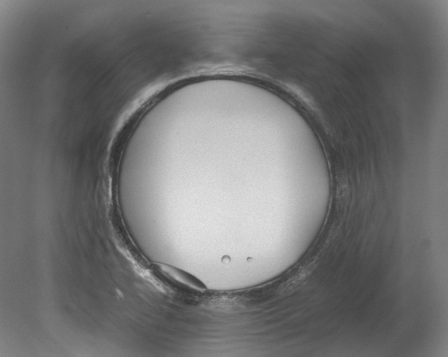 X0000078841414200612111543