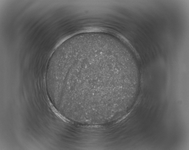 X0000078841417200612111544