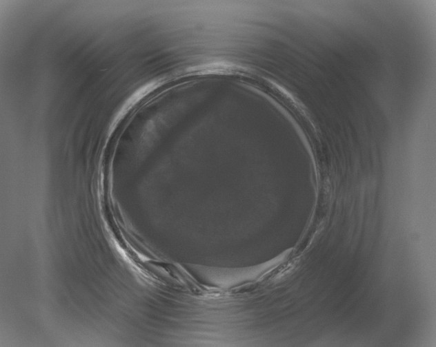 X0000078841418200612111544