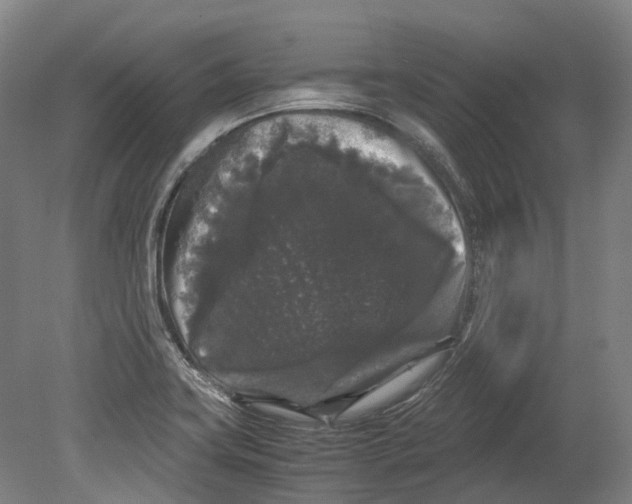 X0000078841419200612111544