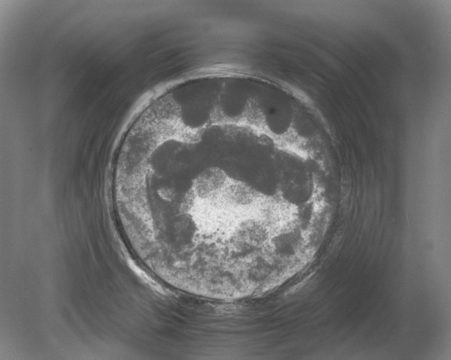 X0000078841421200612111544