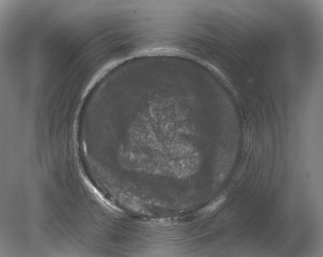 X0000078841422200612111544