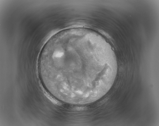 X0000078841423200612111544