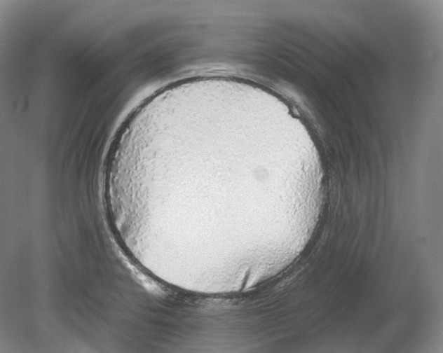 X0000078841424200612111544