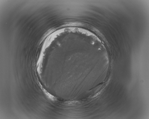 X0000078841425200612111544