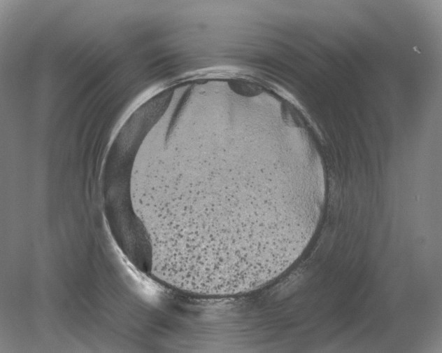 X0000078841426200612111544