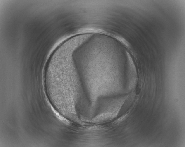 X0000078841430200612111544