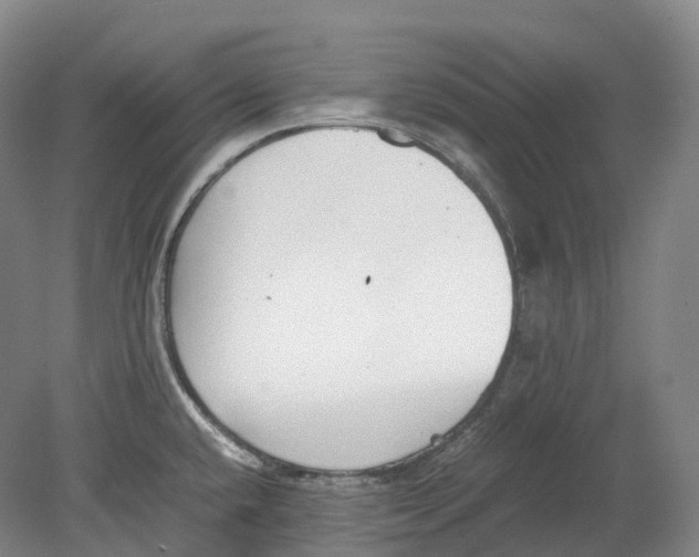 X0000078841432200612111544