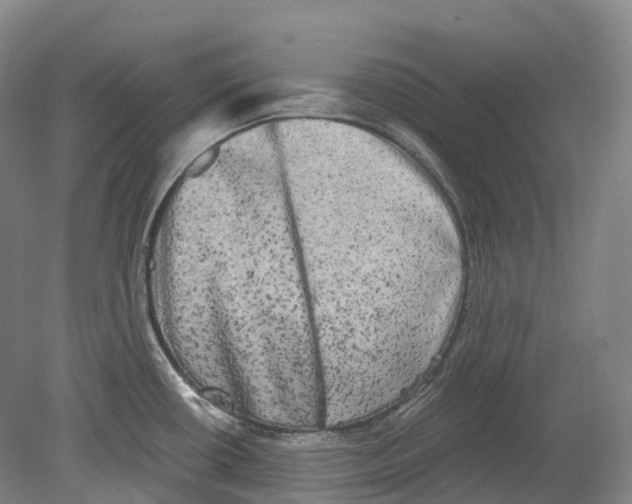 X0000078841434200612111544