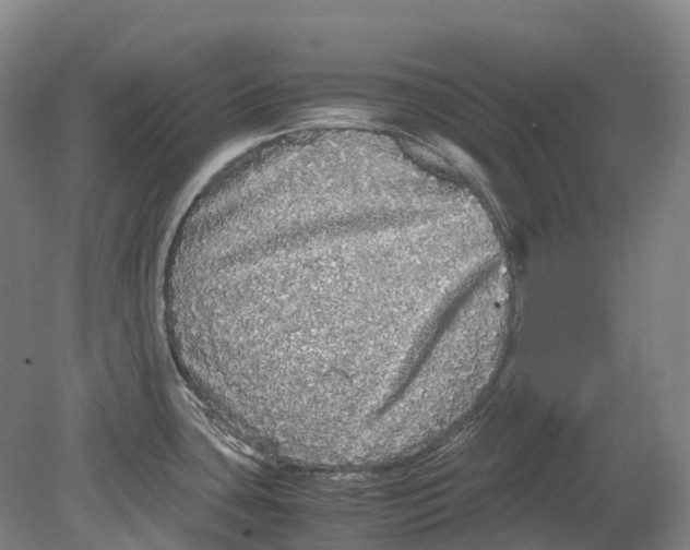 X0000078841435200612111544