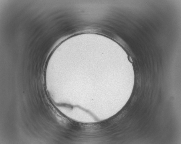 X0000078841436200612111544