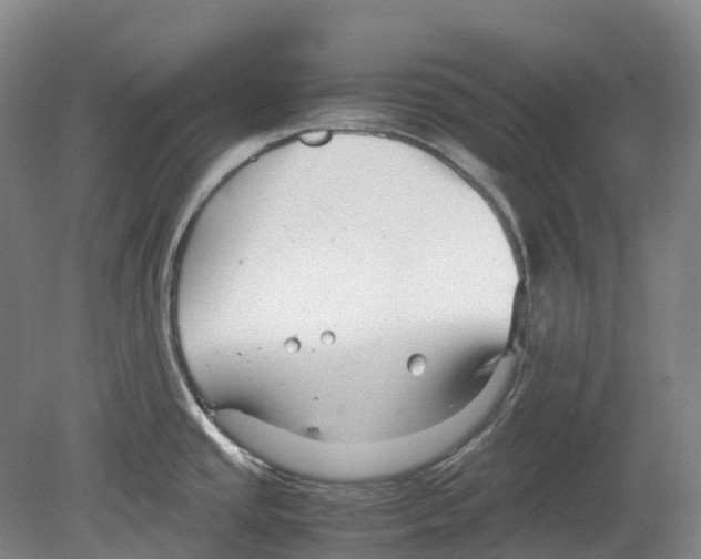 X0000078841437200612111544