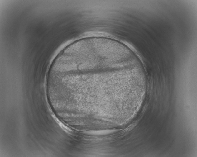 X0000078841438200612111544