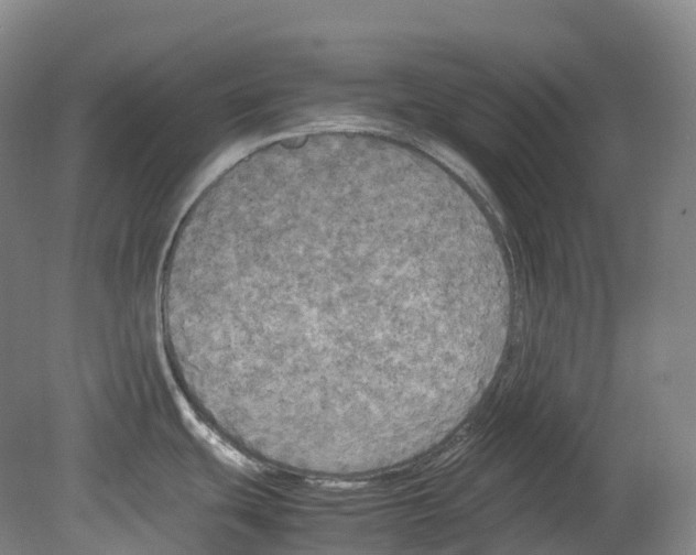 X0000078841439200612111544