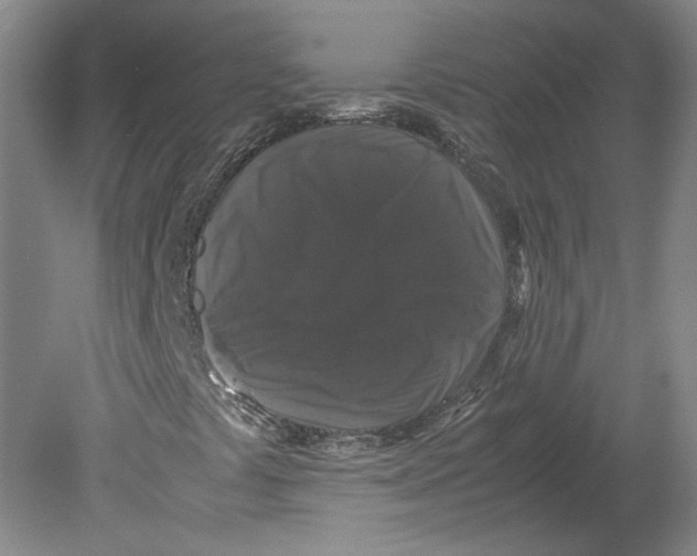 X0000078841441200612111543