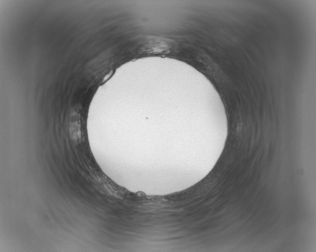 X0000078841442200612111543